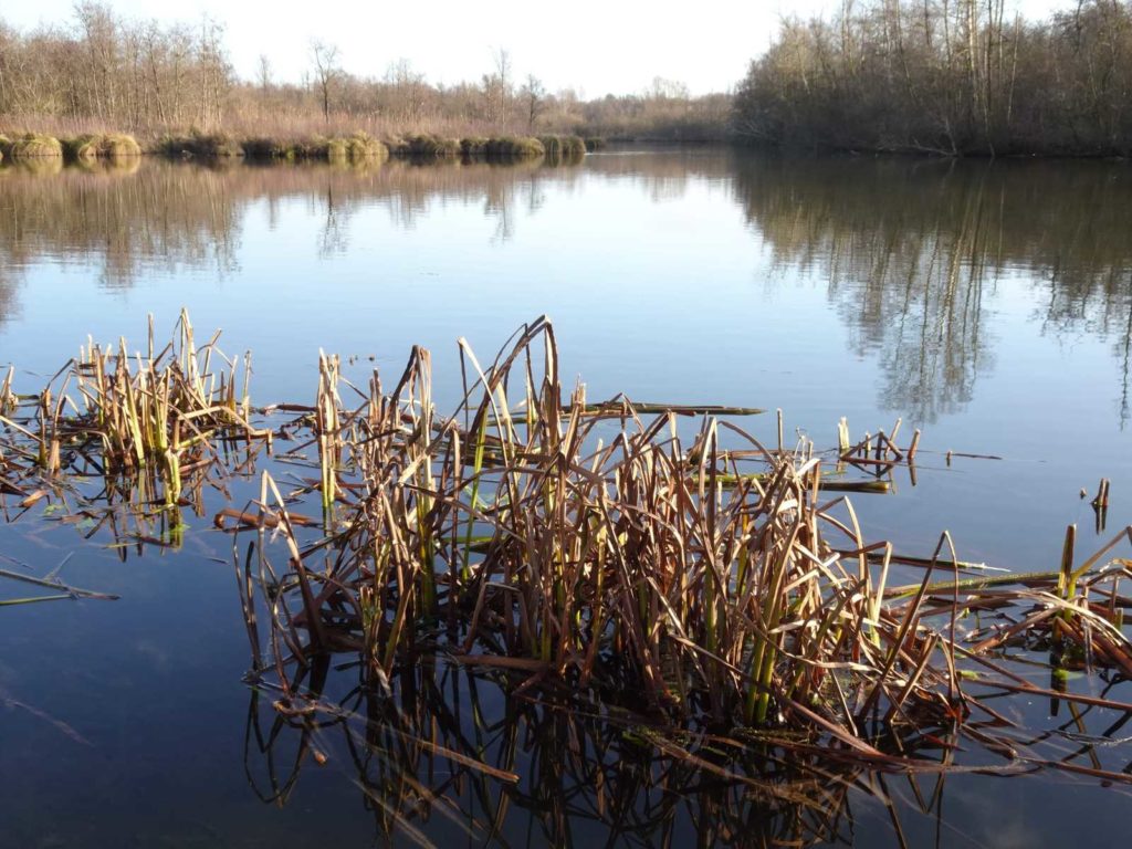 Les tangs De La Haute Somme En Image ASPEE Haute Somme les-tangs-de-la-haute-somme-en-image-aspee-haute-somme